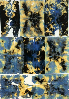 Aus dem Werkzyklus: 'Natur-G&aumlrten-Dunkel' | 200 x 140, Collage / Malerei auf Leinwand | 2000